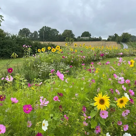 L'anglaicherie Comblot