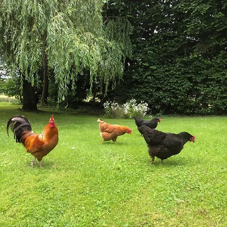 Feriehus L'anglaicherie Comblot