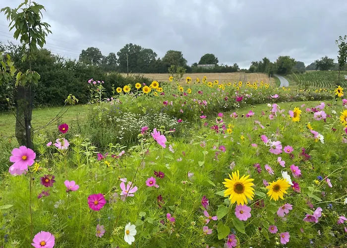 L'anglaicherie Comblot