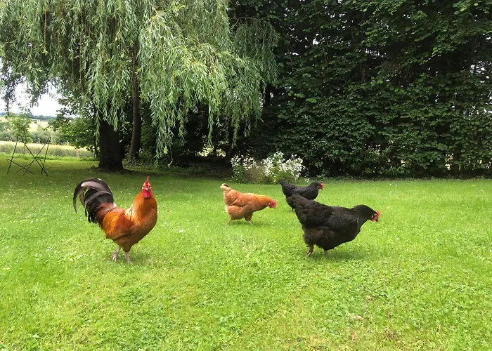 Vakantiehuis L'anglaicherie Comblot